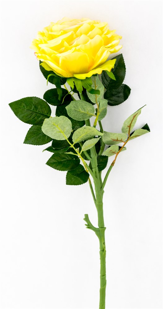 

Роза (белый) (12) ДомРан A2955 Yellow