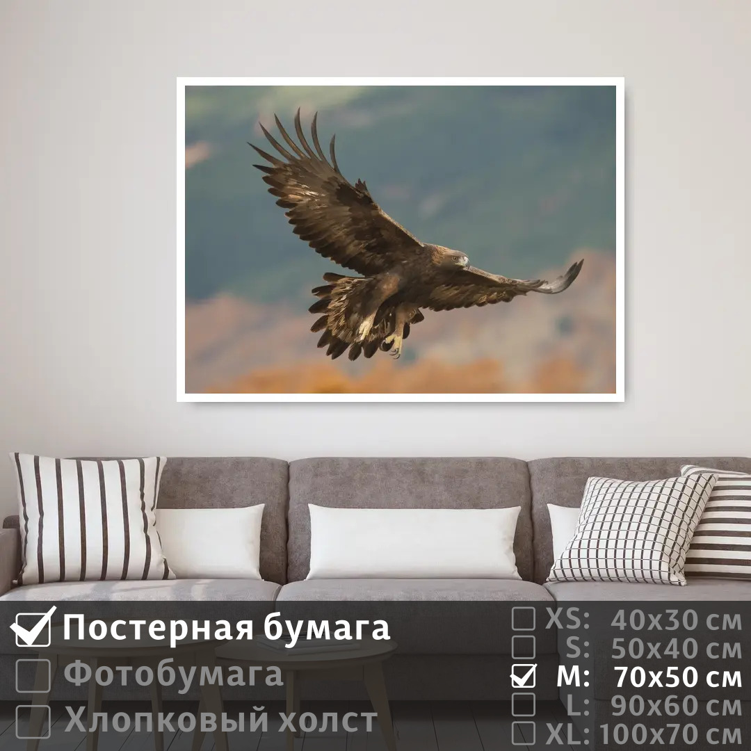 

Постер на стену ПолиЦентр Парящий орел в небе 70х50 см, ПарящийОрелВНебе