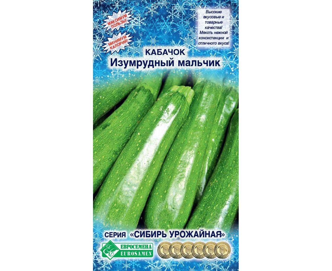 

Семена овощей кабачок Изумрудный мальчик Евросемена 17478 2 г