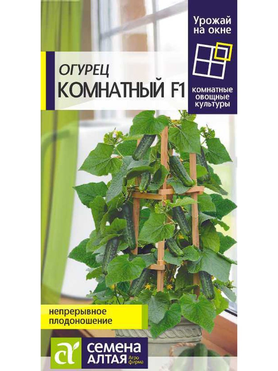 

Огурец Комнатный