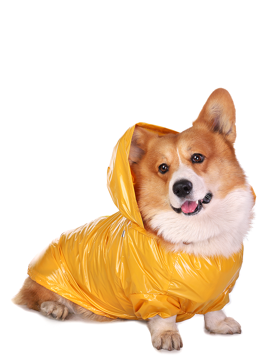 фото Дождевик для собак монморанси корги, унисекс, желтый, m, длина спины 38 см