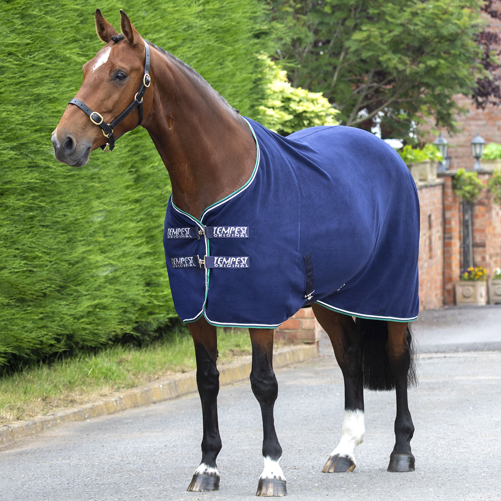 Попона для лошади SHIRES Original флисовая 155 см синяя