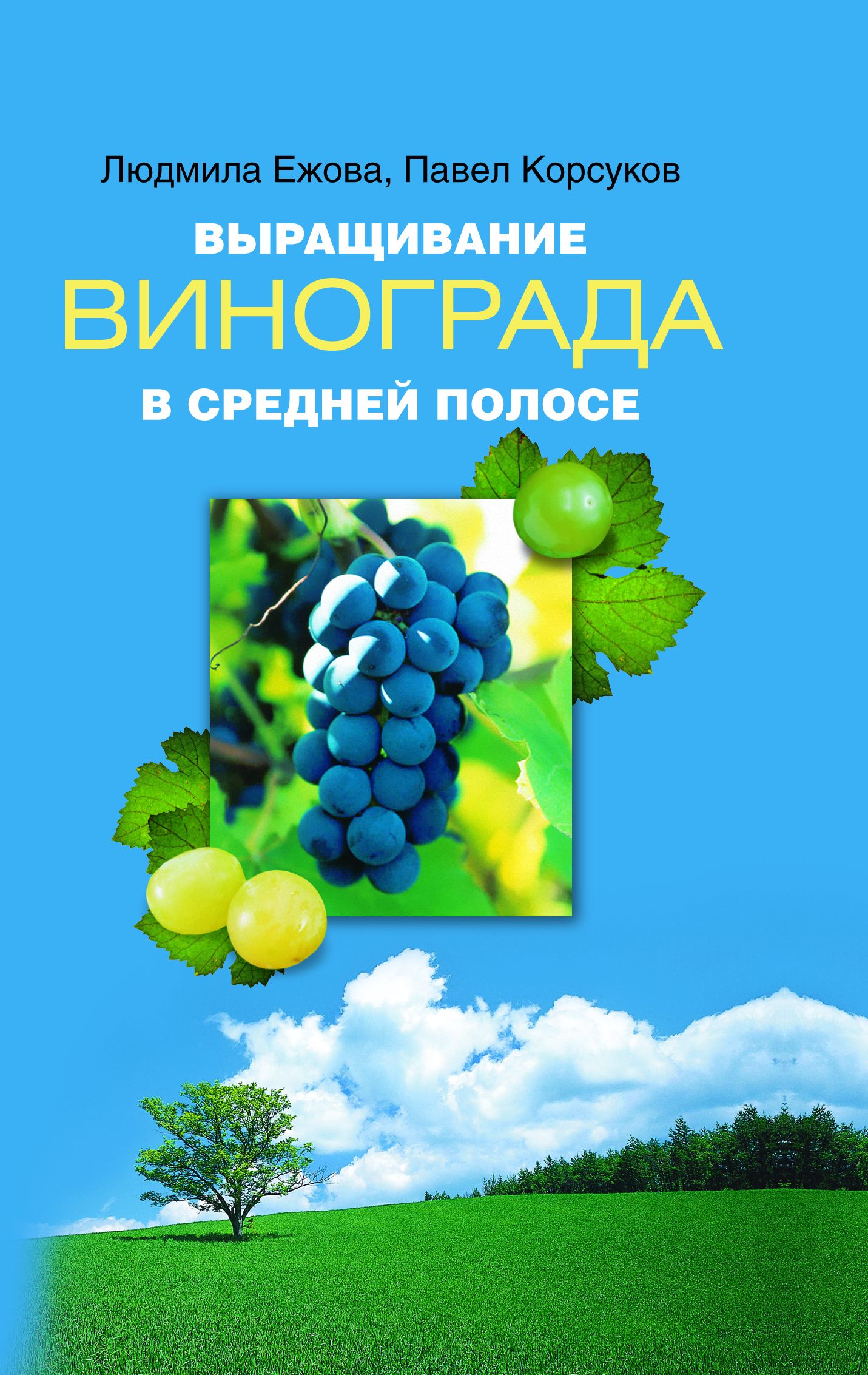 

Выращивание винограда в средней полосе