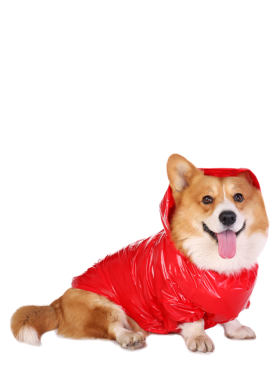 фото Дождевик для собак монморанси корги, унисекс, красный, м, длина спины 38 см