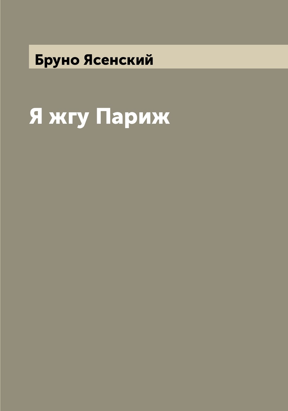 

Книга Я жгу Париж