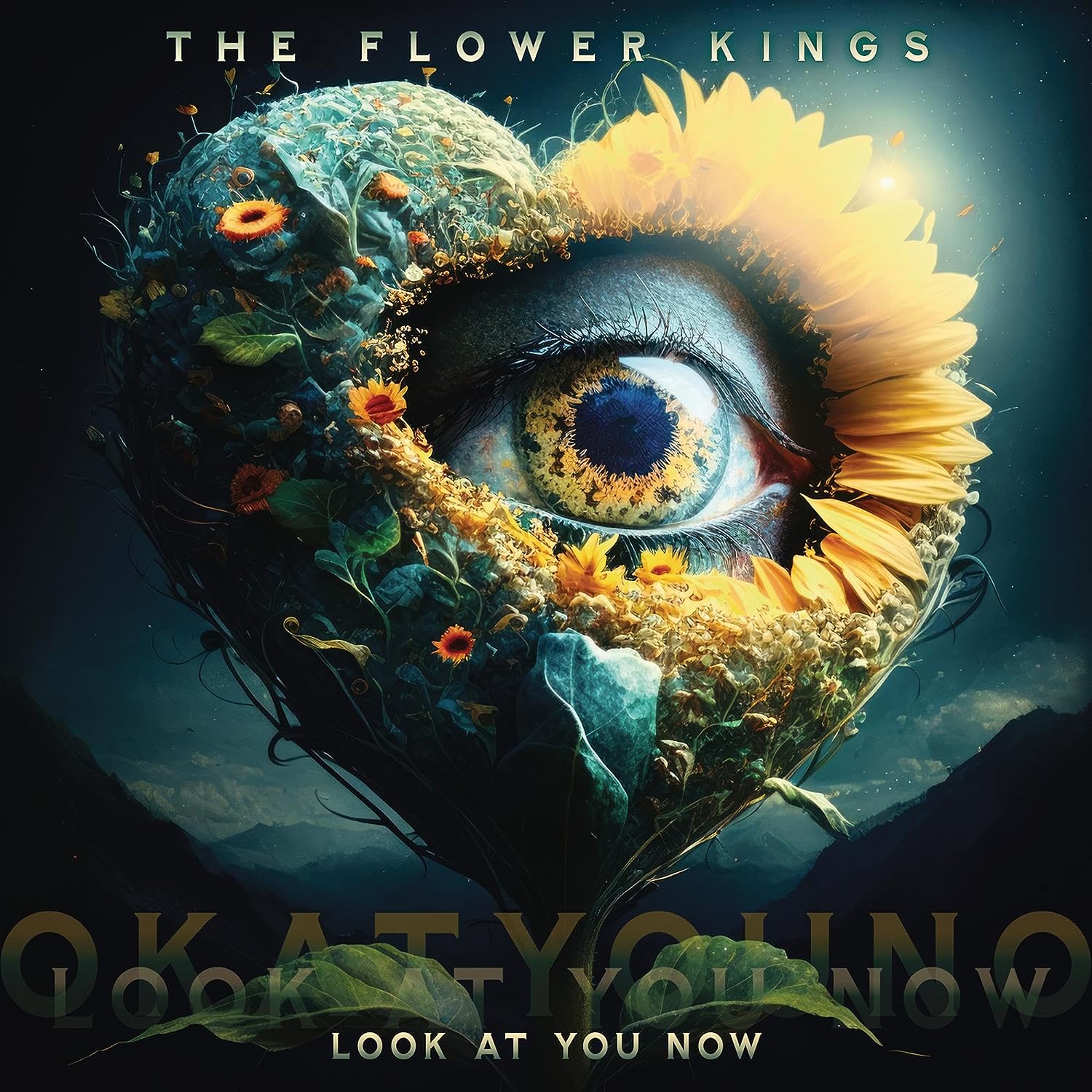 

Flower Kings Look At You Now (CD)