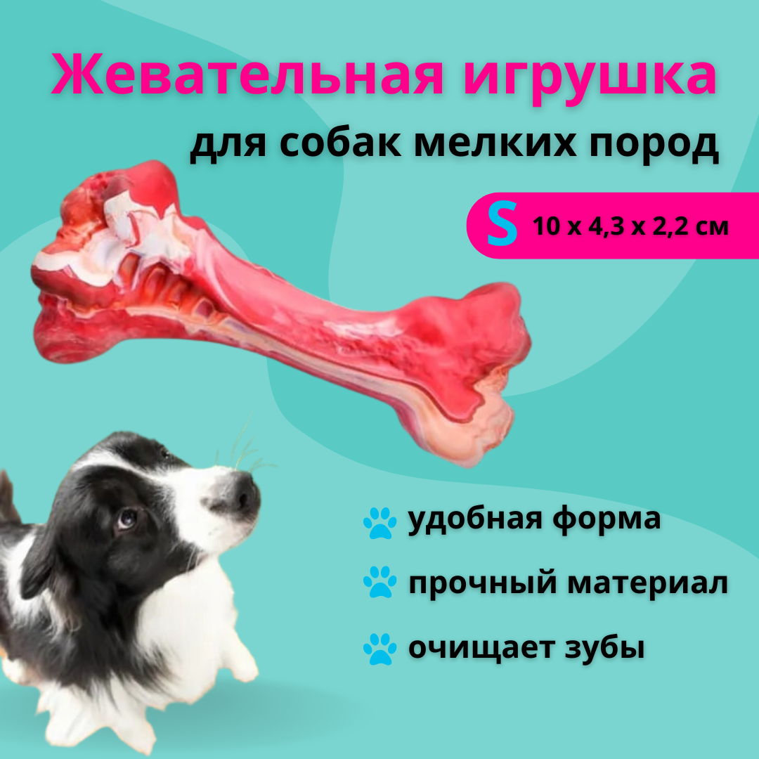 Игрушка для собак и щенков ZDK Friendly Кость, красная, каучук, S, 10x4x2 см