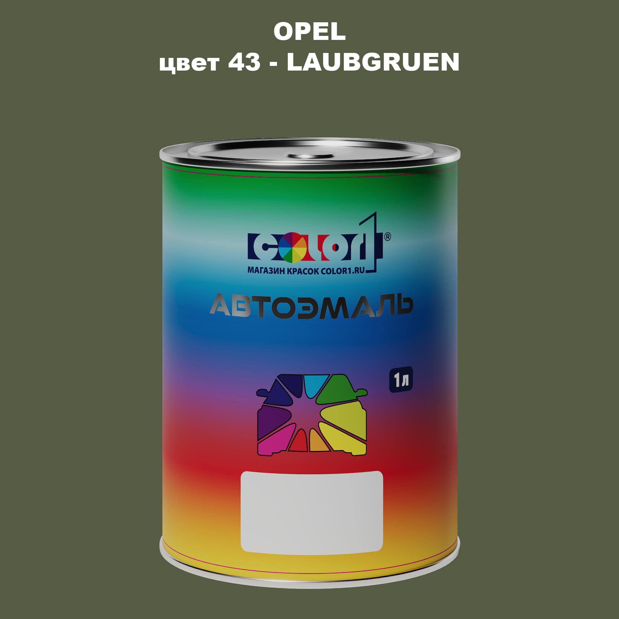 

Автомобильная краска COLOR1 для OPEL, цвет 43 - LAUBGRUEN, Прозрачный