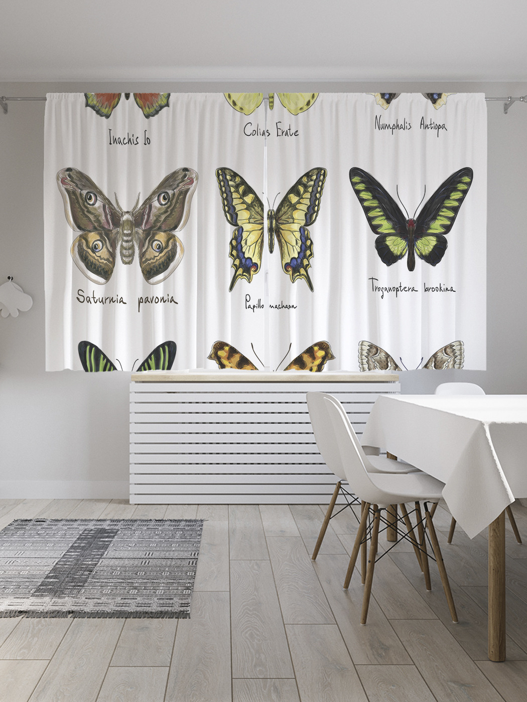 

Шторы JoyArty с фотопечатью "Энтомологическая коллекция" из сатена, 290х180 см, Энтомологическая коллекция