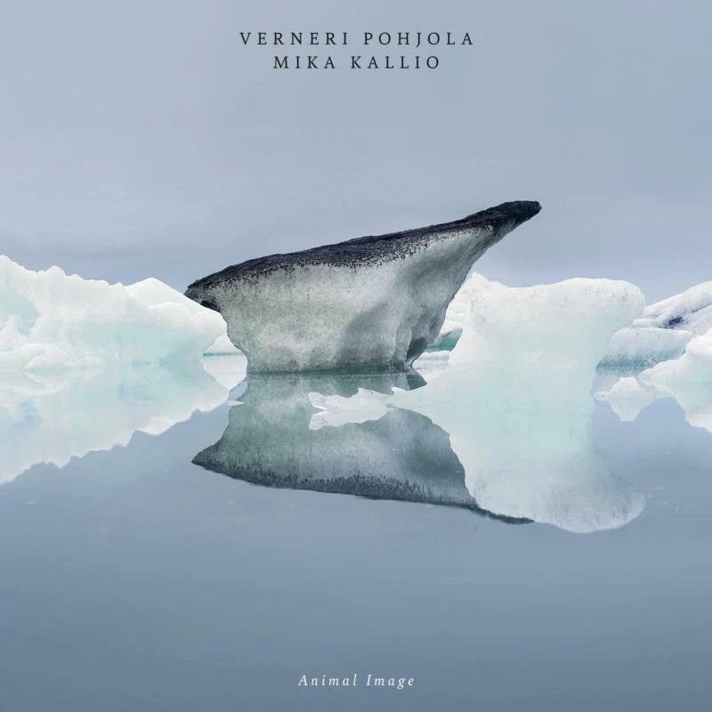 

Verneri And Kallio Pohjola Animal Image (LP), Animal Image