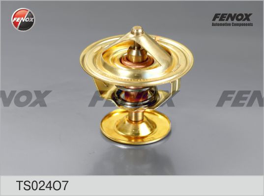 фото Термостат fenox ts024o7