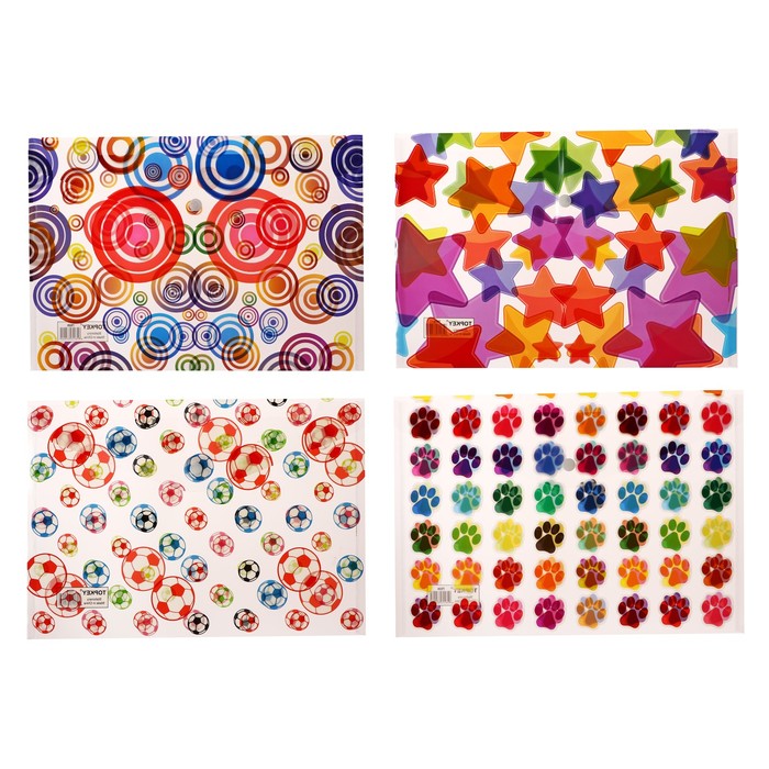 

Набор папок-конвертов на кнопке А4, 160 мкр, 12 штук, МИКС, Разноцветный