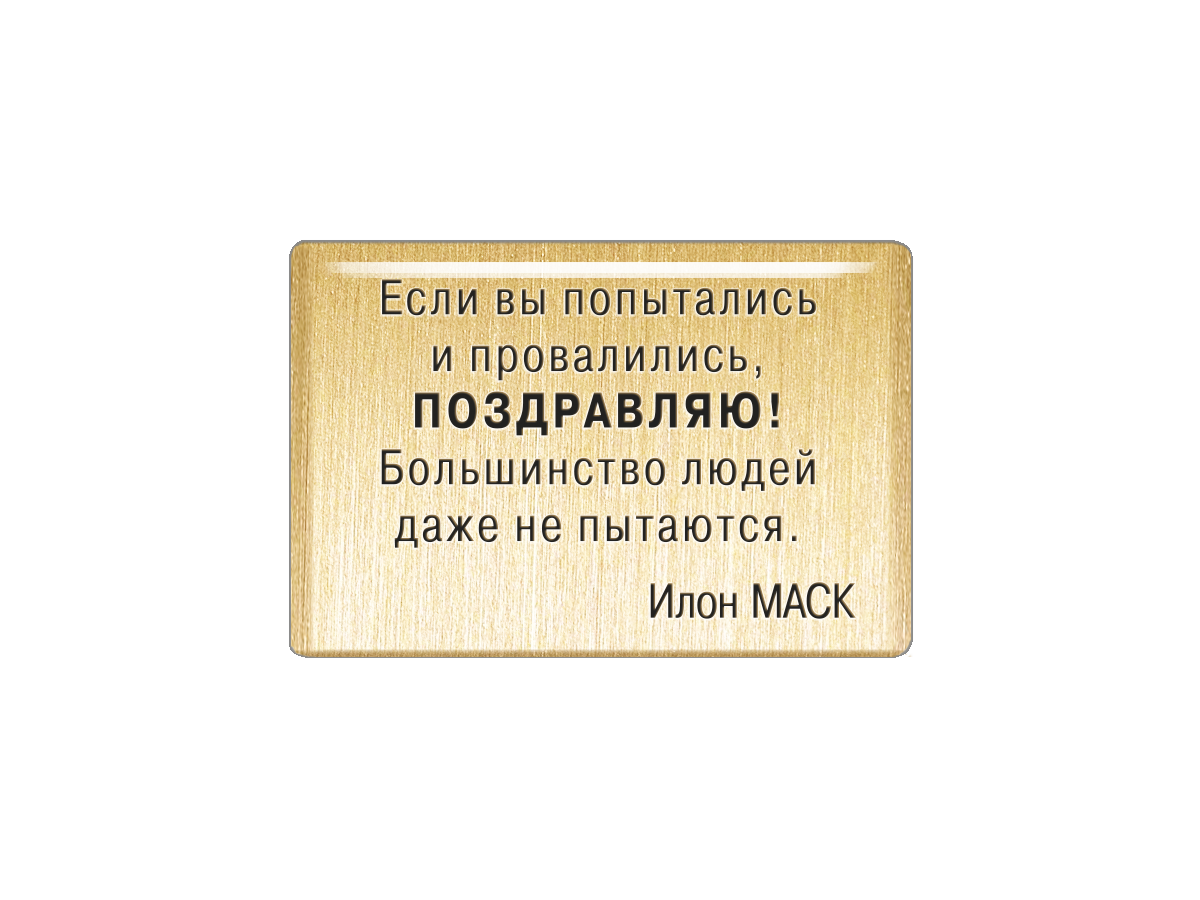 Магнит Мастерская Алёшиных Если вы попытались и провалились Т18.244.02.00