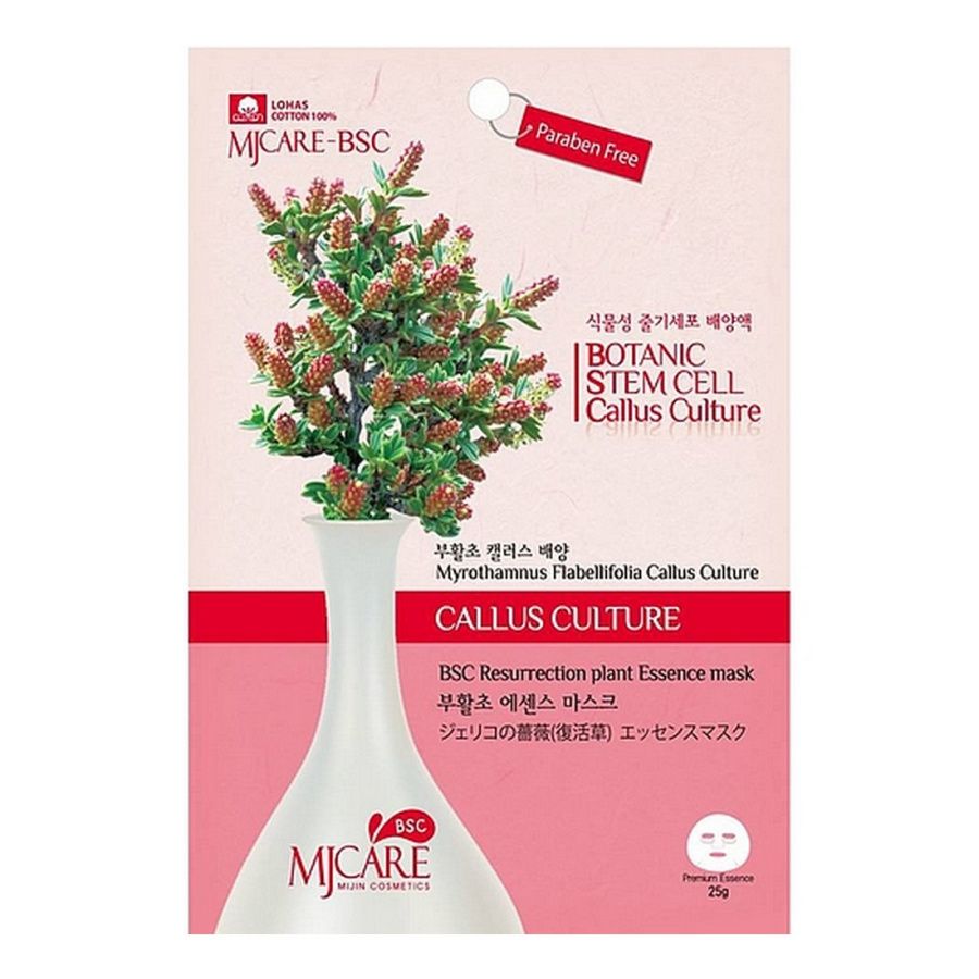 MIJIN Маска тканевая с экстрактом миротамнуса MJ Care BSC Resurrection Plant Essence 25 г