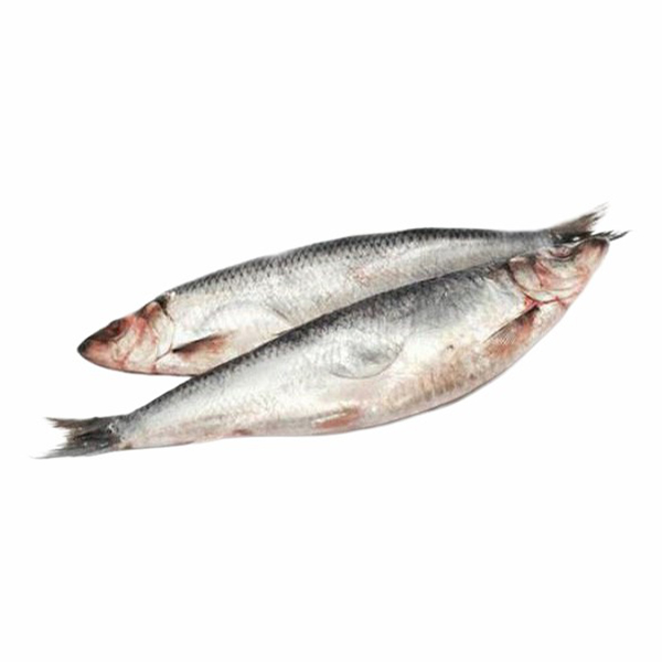 

Сельдь соленая Золотая Fishка Акватории тушка с головой 300 г
