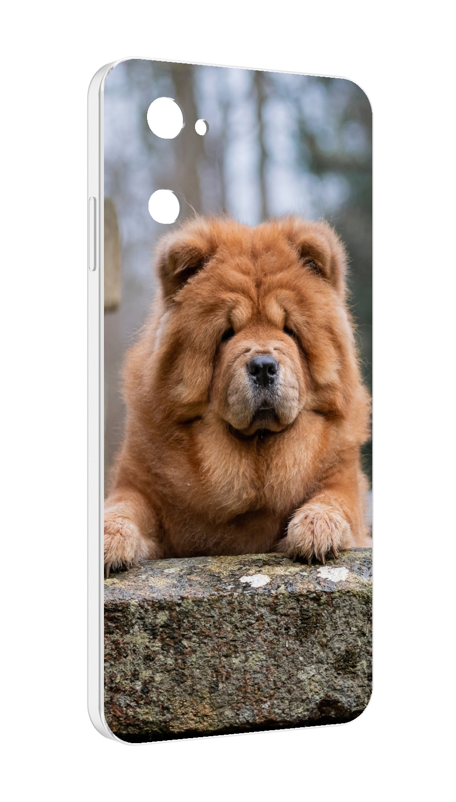 

Чехол MyPads чау чау для UleFone Note 12 / Note 12P, Прозрачный, Tocco
