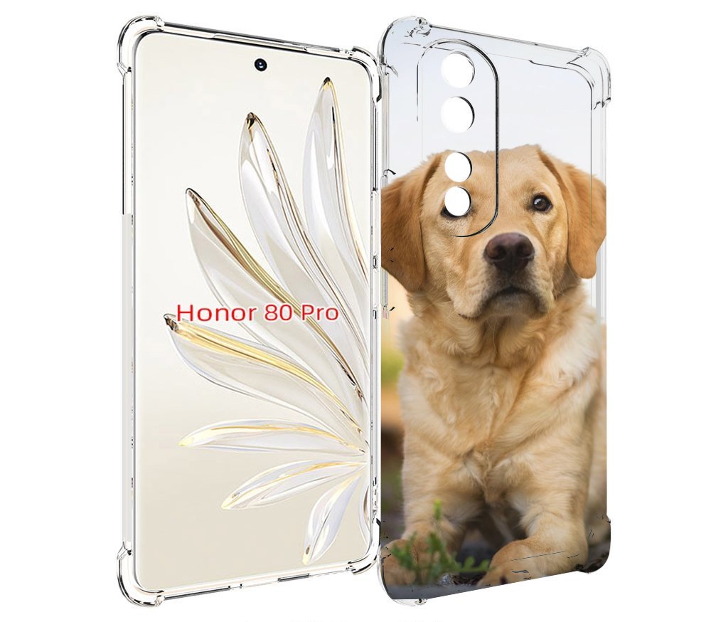 

Чехол MyPads лабрадор ретривер для Honor 80 Pro, Прозрачный, Tocco