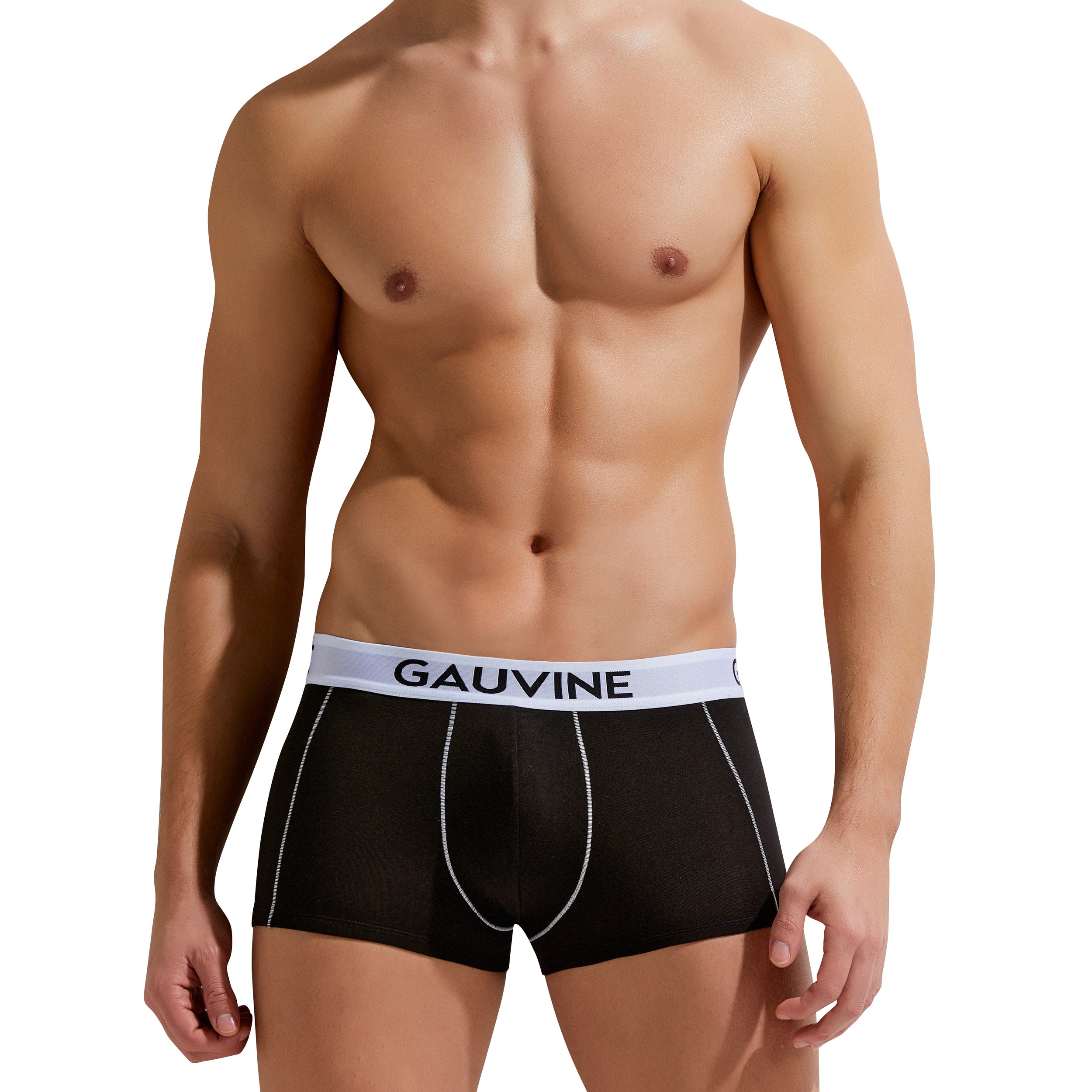 

Трусы мужские GAUVINE 3002 черные M, Черный, 3002