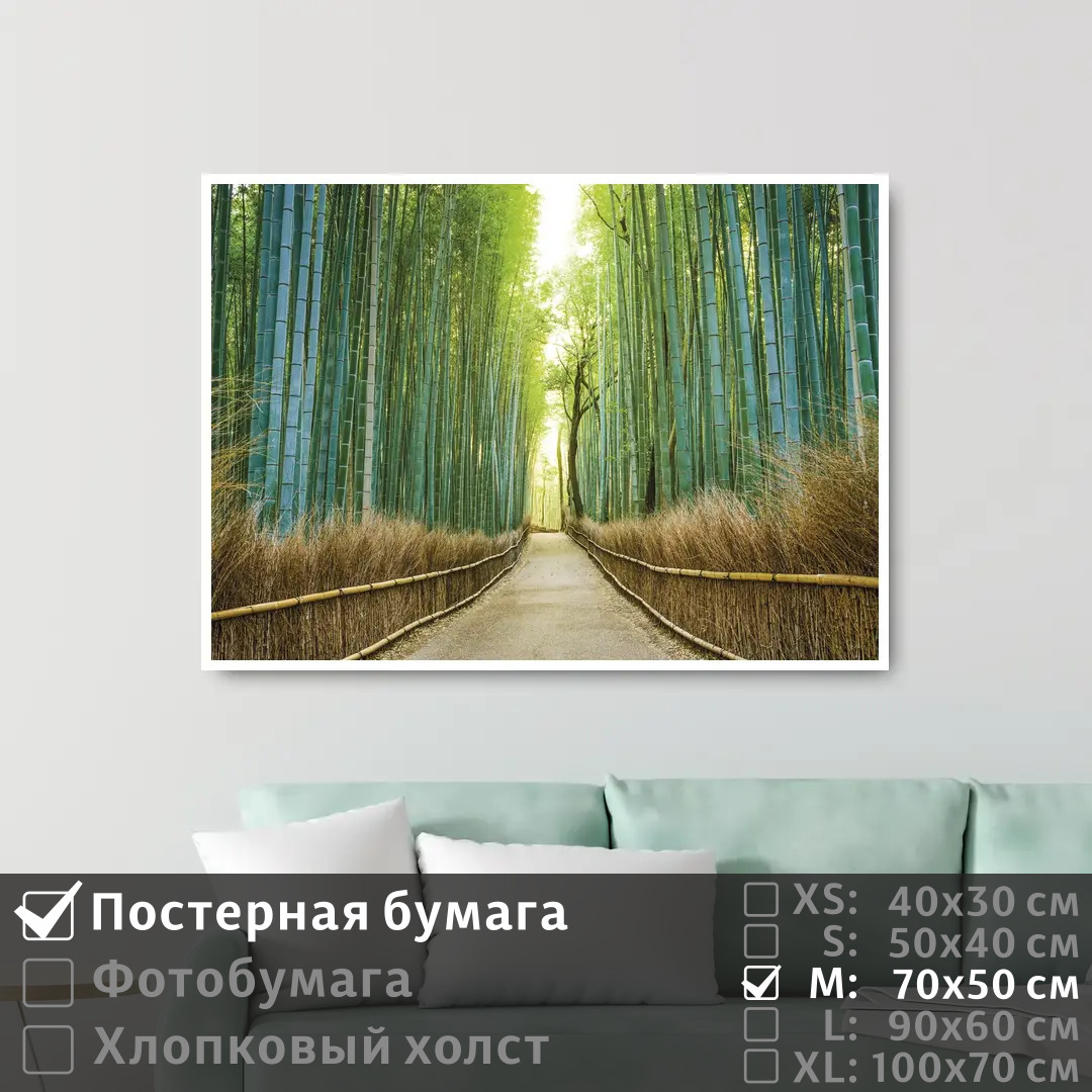 

Постер на стену ПолиЦентр Бамбуковый лес в японии 70х50 см, БамбуковыйЛесВЯпонии