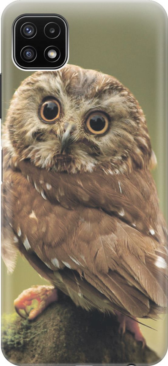 

Силиконовый чехол на Samsung Galaxy A22s 5G "Сова на дереве", Белый;зеленый, 3911