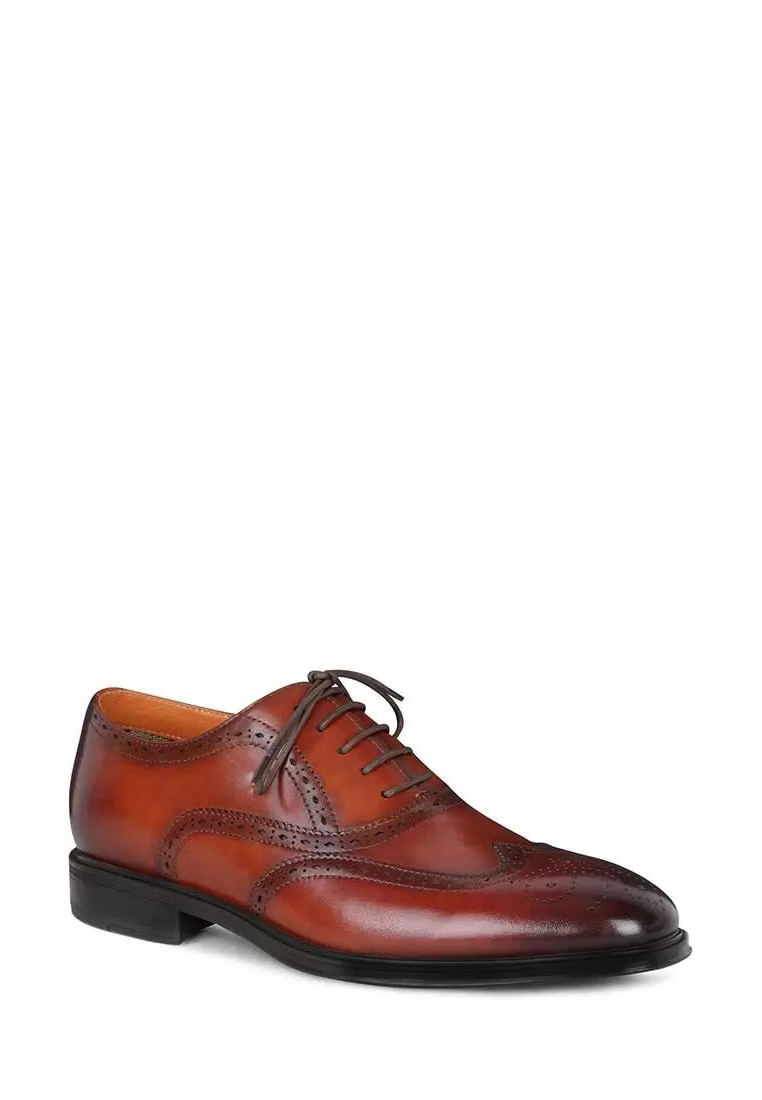 

Туфли мужские Pierre Cardin 136601 коричневые 41 RU, Коричневый, 136601