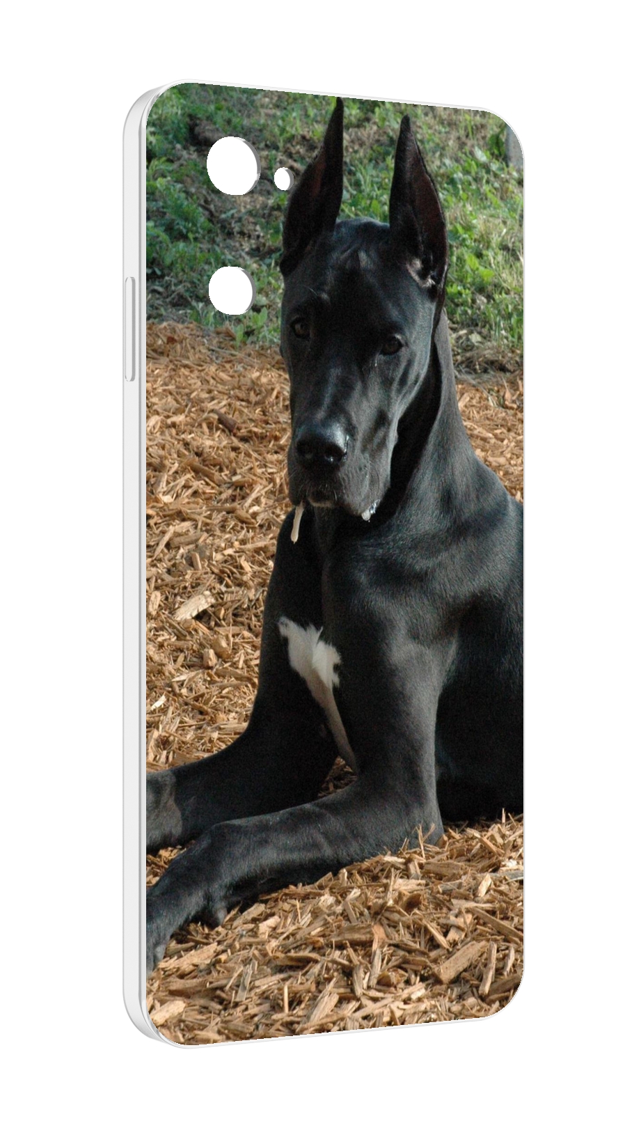 

Чехол MyPads немецкии дог для UleFone Note 12 / Note 12P, Прозрачный, Tocco