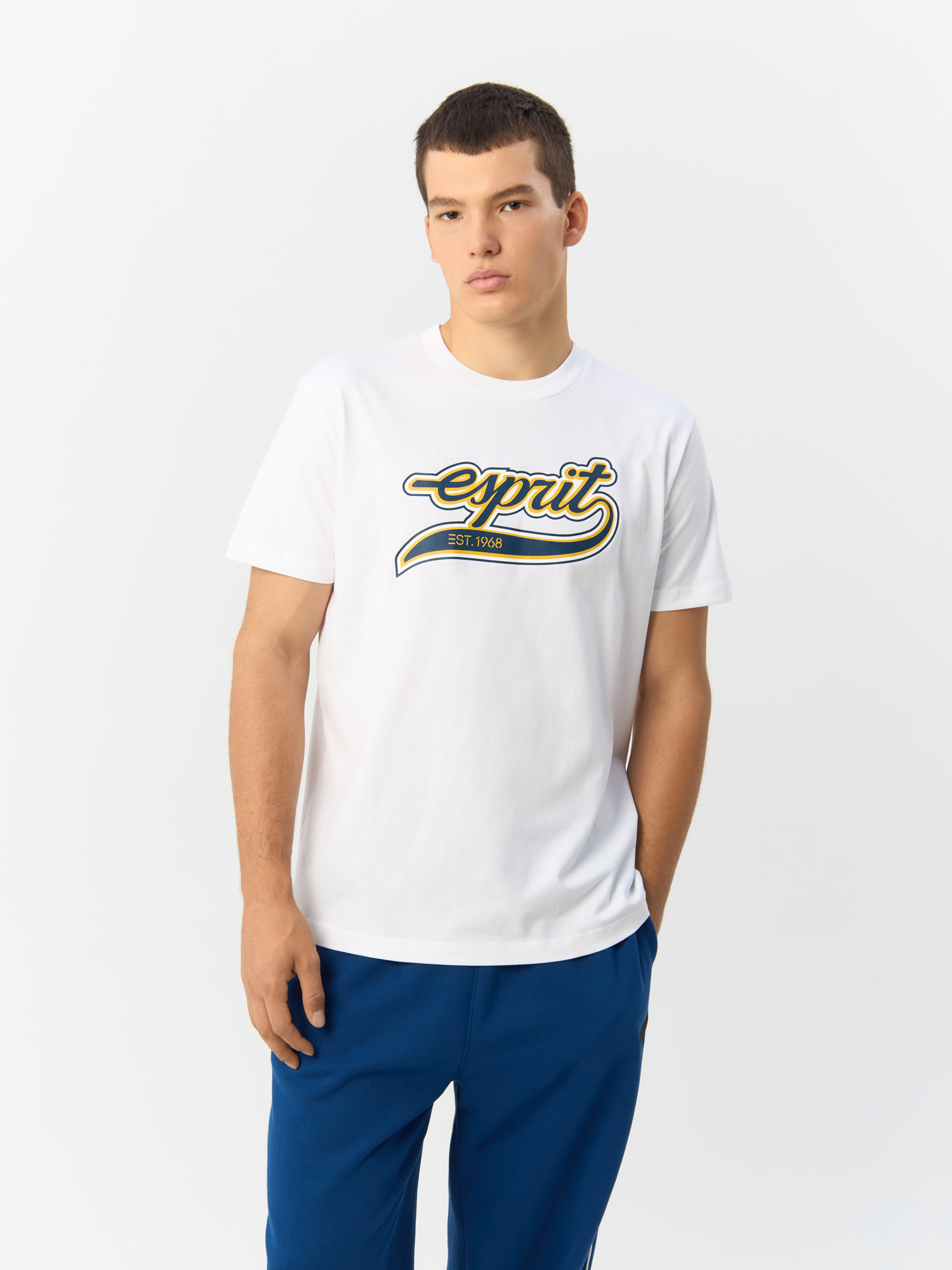 

Футболка мужская 112EE2K316 белая XXL, Белый, 112EE2K316