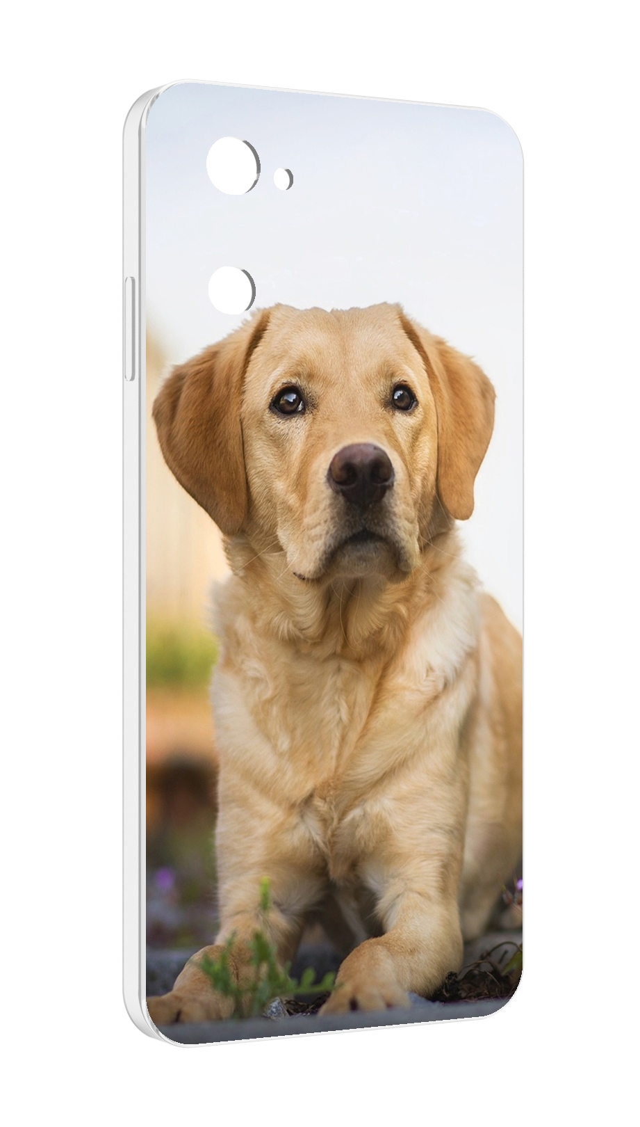 

Чехол MyPads лабрадор ретривер для UleFone Note 12 / Note 12P, Прозрачный, Tocco