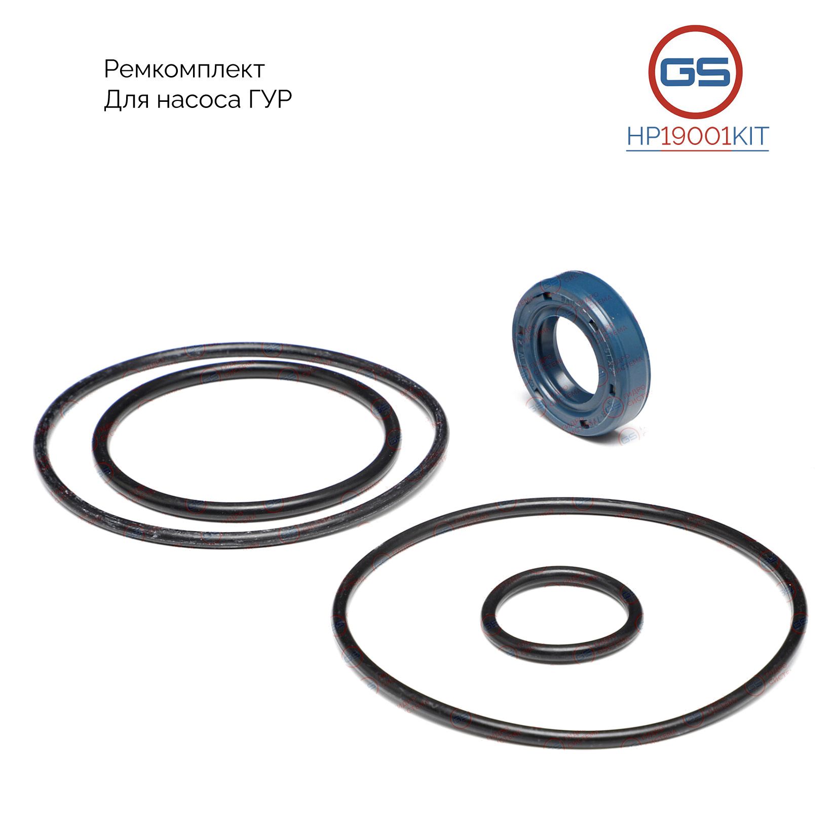 

Ремкомплект насоса ГУР GS Iveco Daily III 1999-2006,Fiat Ducato 1981-1994 HP19001KIT