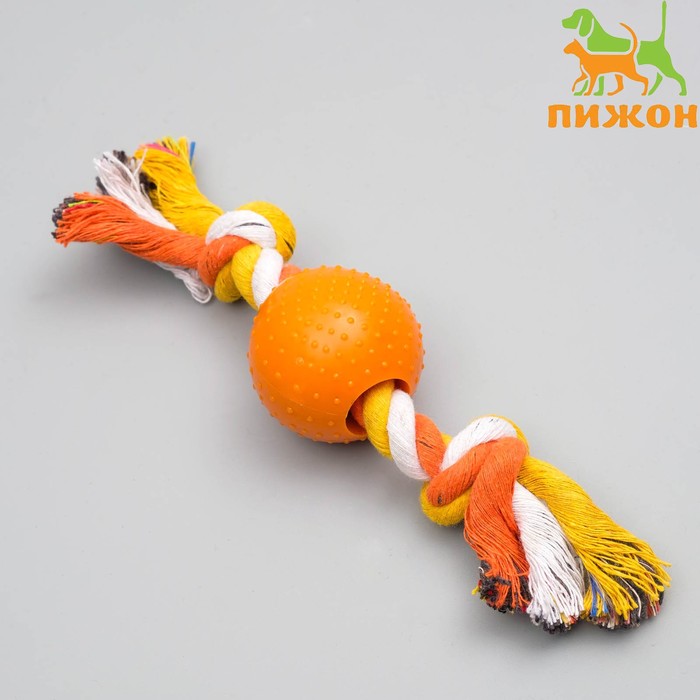 

Игрушка для собак Пижон канатная с подвижным шаром микс цветов до 22 см до 105г