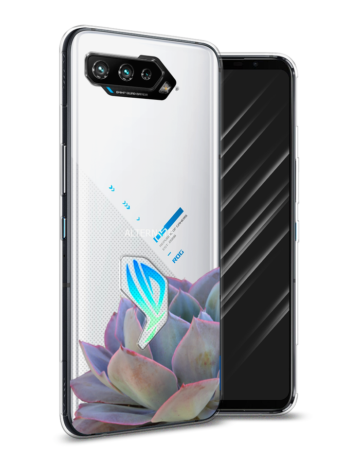 

Чехол Awog на Asus ROG Phone 5 "Молодило уголок", Серый, 44250-8