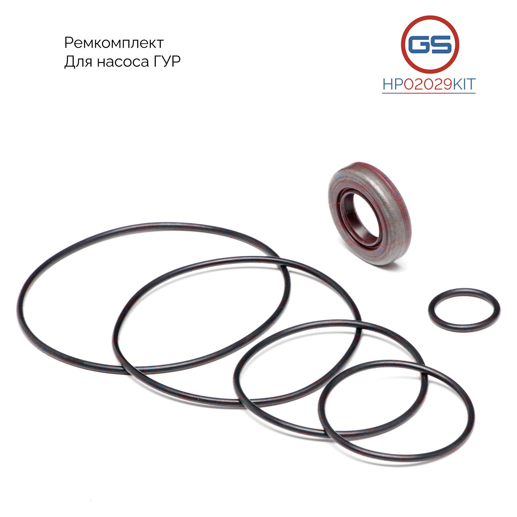 

Ремкомплект насоса ГУР GS AUDI A8 1998-2002 HP02029KIT