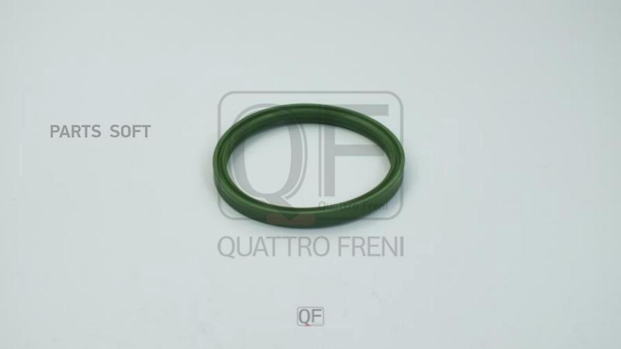 

Кольцо Уплотнительное Системы Впуска 1Шт QUATTRO FRENI QF76A00047