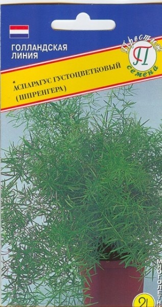 Семена аспарагус Престиж Густоцветковый (шпренгера) 18940 1 уп.