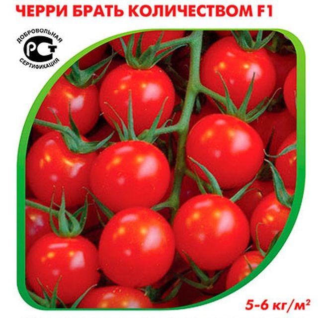 

Томат Черри Брать количеством F1