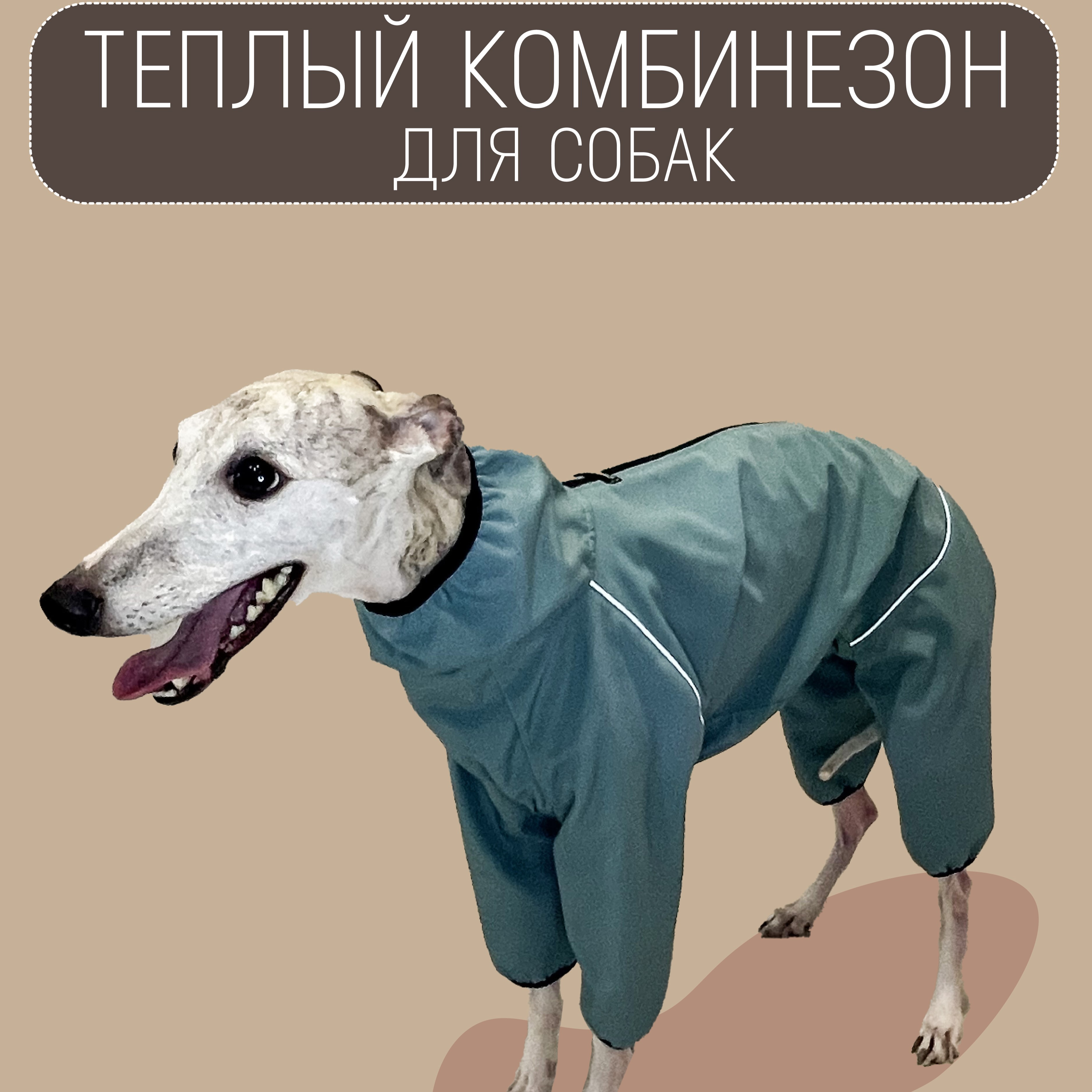 

Комбинезон для собак Монморанси, для пород пород Уиппет, голубой, размер М1, 46 см