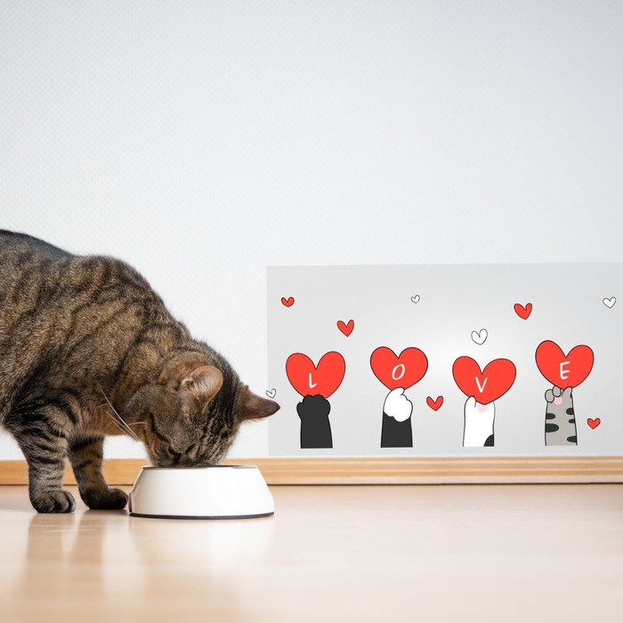 Защитная самоклеящаяся пленка на месте кормления/туалета питомца Коты Любовь 50х25 см