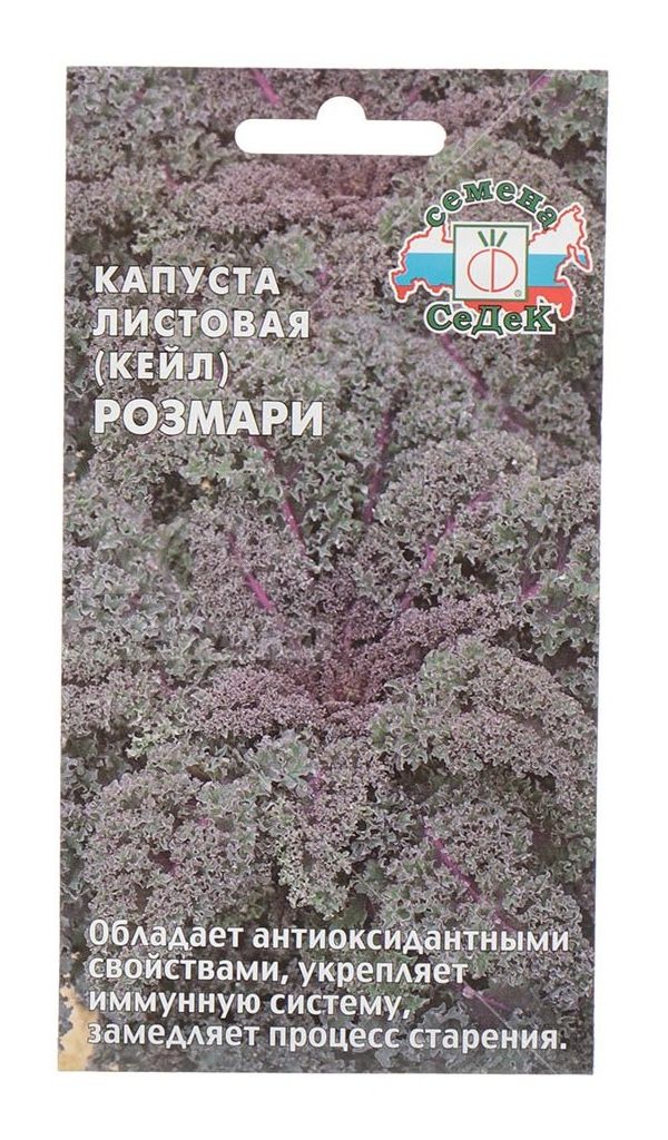 

Семена капуста листовая СеДеК Розмари 12935 1 уп.