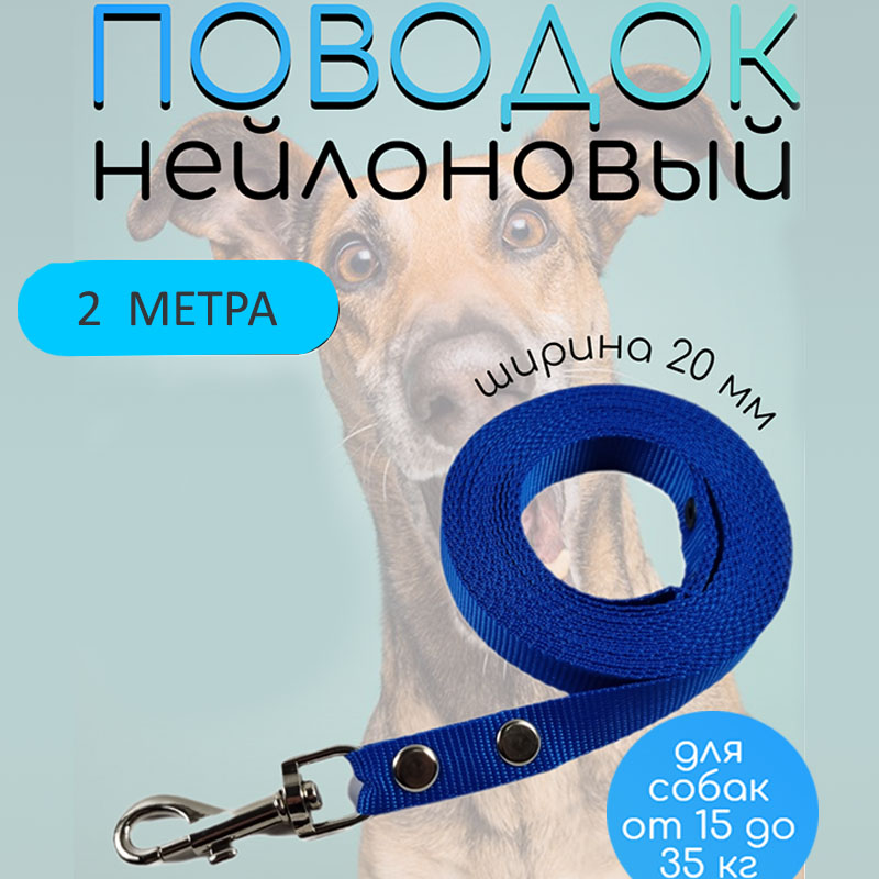 

Поводок для собак Хвостатыч, нейлон, голубой, 2 м х 20 мм