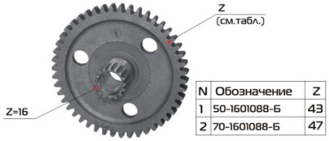 Шестерня МТЗ сцепления Z=47 РУП МЗШ 70-1601088-Б