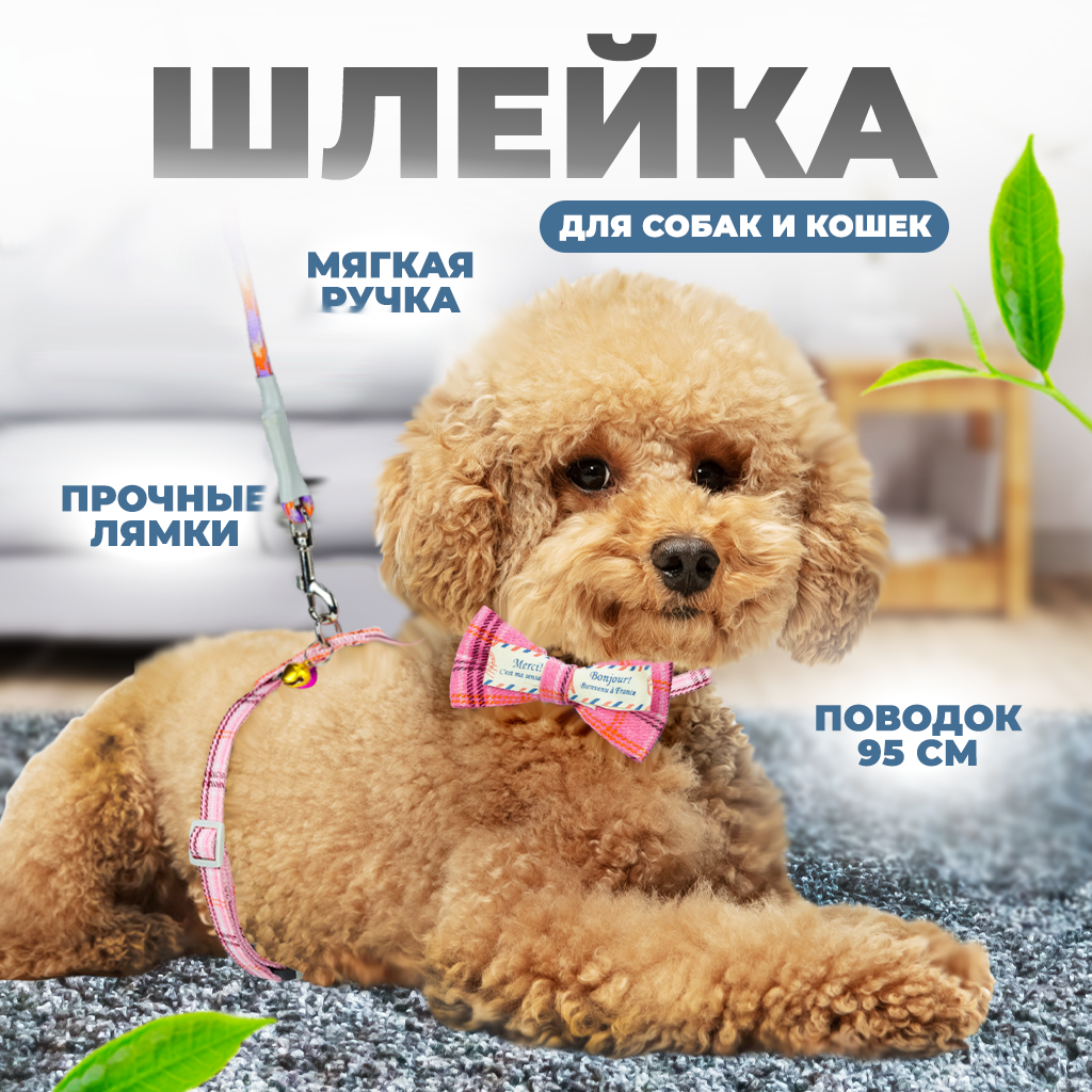 

Ошейник для собак, шлейка Solmax&Zoo MUZ99281, розовый, обхват шеи 10-20 см, MUZ99281