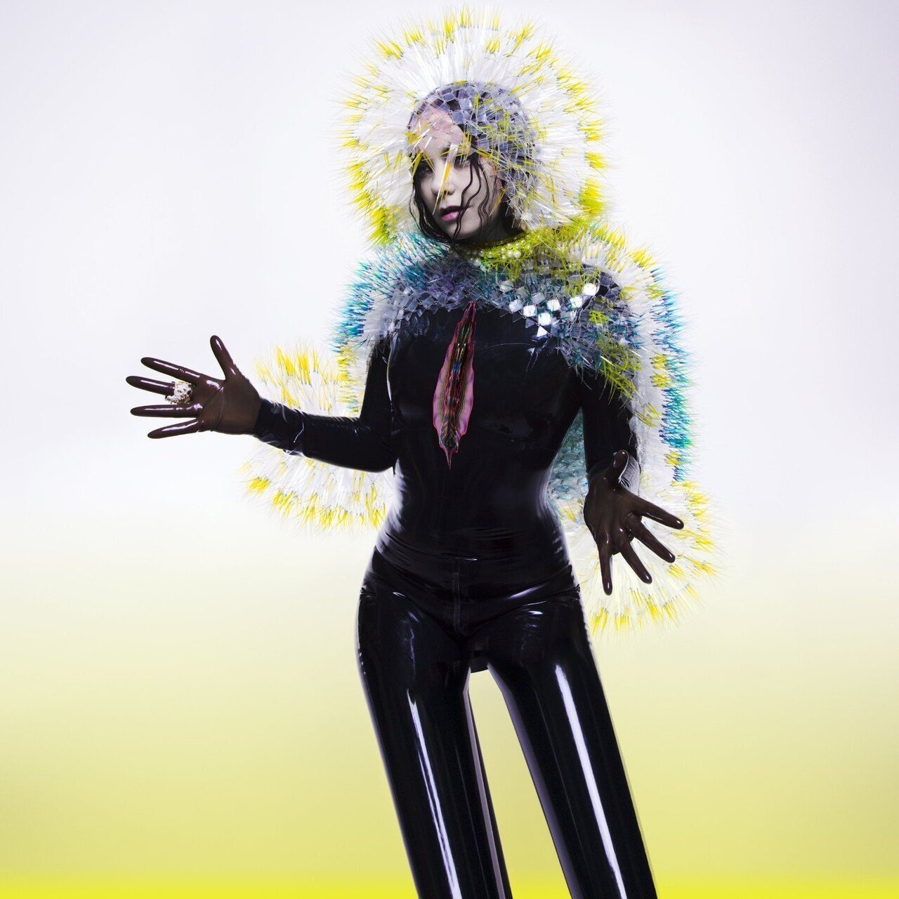 

Bjork Vulnicura (2LP)