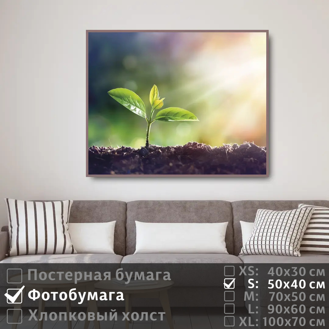 

Постер на фотобумаге ПолиЦентр Лучи на нежной зелени 50х40 см, ЛучиНаНежнойЗелени