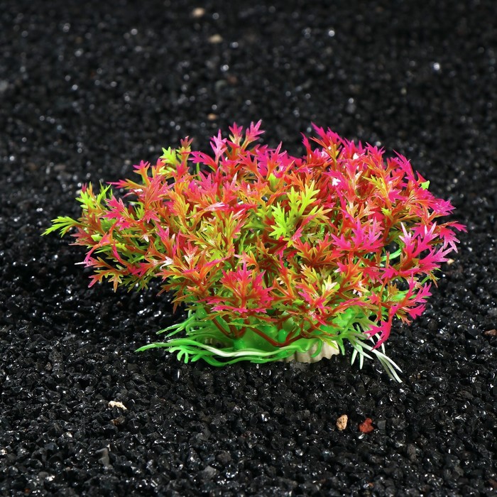 Искусственное растение для аквариума и террариума Пижон Аква 7х10 см 5 шт