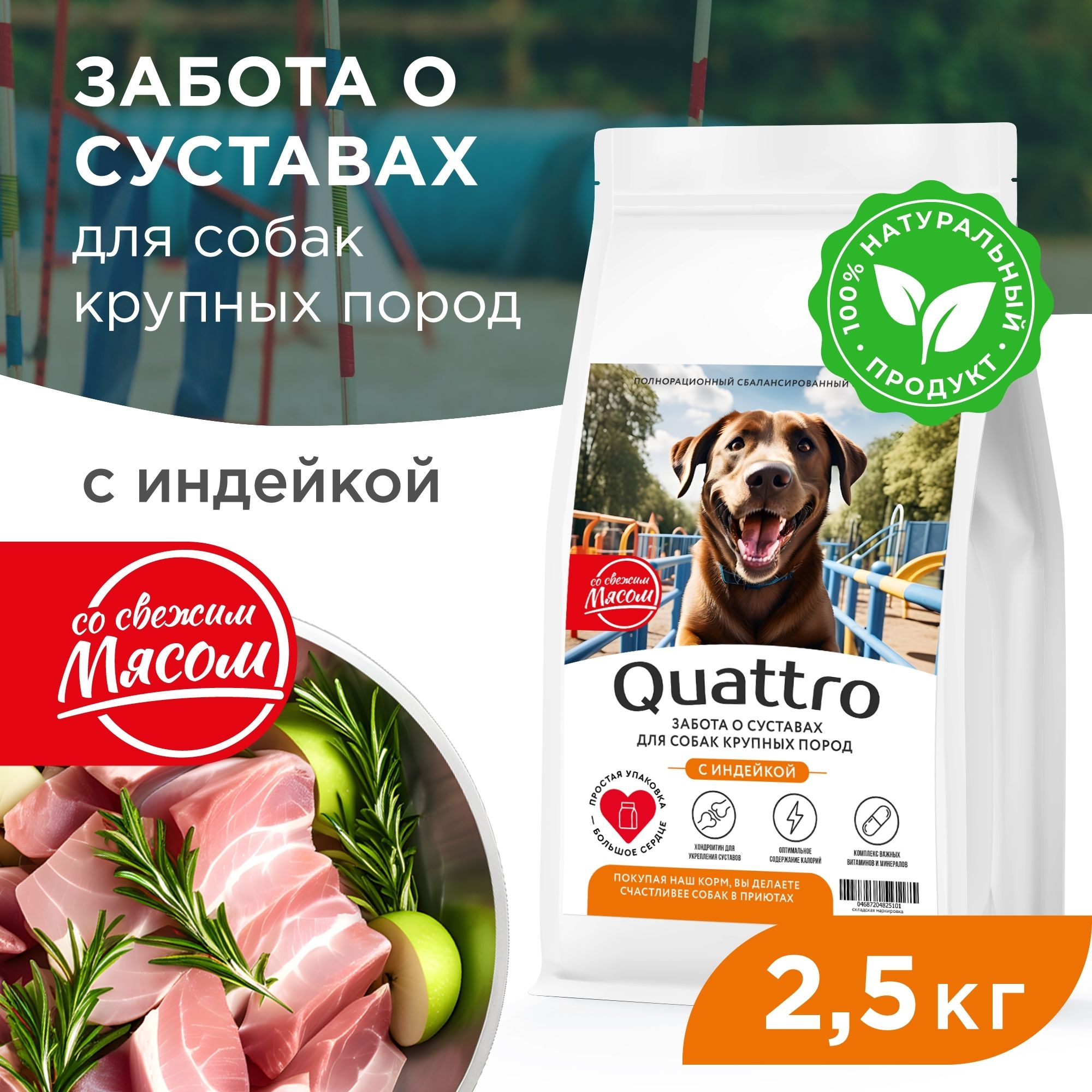

Сухой корм для собак QUATTRO, Крупные породы премиум, забота о суставах, индейка, 2,5 кг