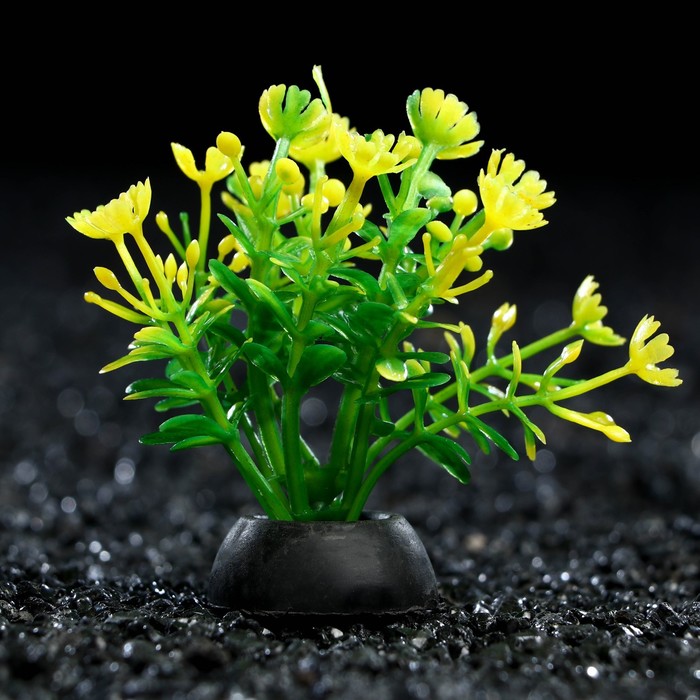 Искусственное растение для аквариума и террариума Пижон Аква зелёное 5 см 10 шт