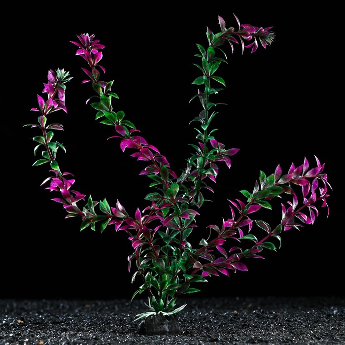 Искусственное растение для аквариума Пижон Аква зелёно-фиолетовое 4х30 см 5 шт