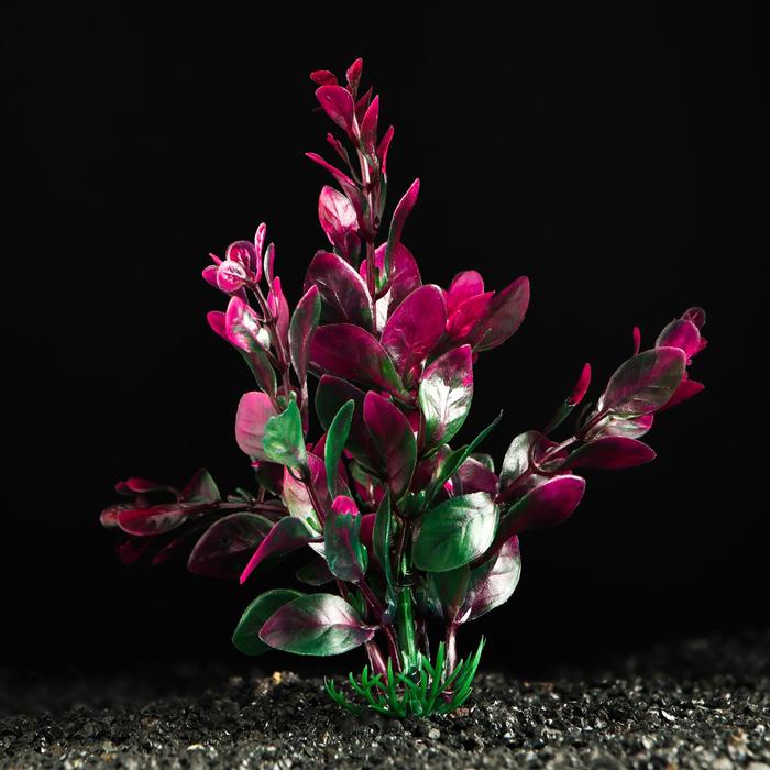 Искусственное растение для аквариума и террариума Пижон Аква красно-зелёный 3х13 см 5 шт