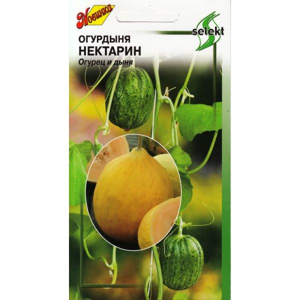 

Семена огурдыня Дом семян нектарин 20585 1 уп.