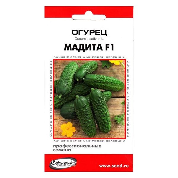 

Семена огурец Дом семян мадита F1 20562 1 уп.